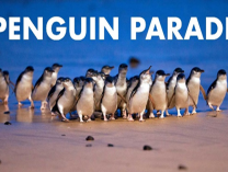 A Healing Friendship